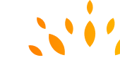 pattern-image